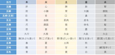 五行式体表